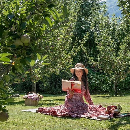 Larisa Resort Manali Экстерьер фото