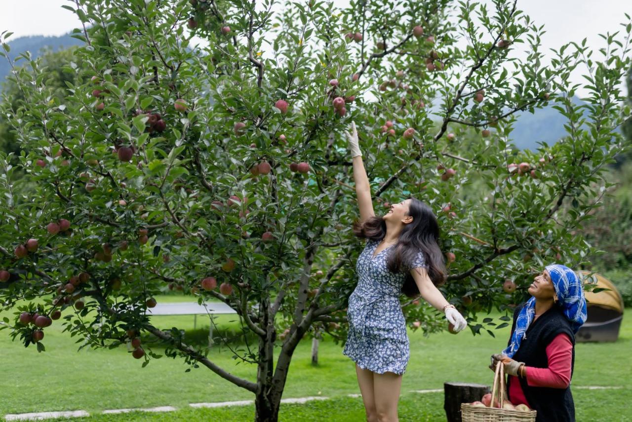 Larisa Resort Manali Экстерьер фото