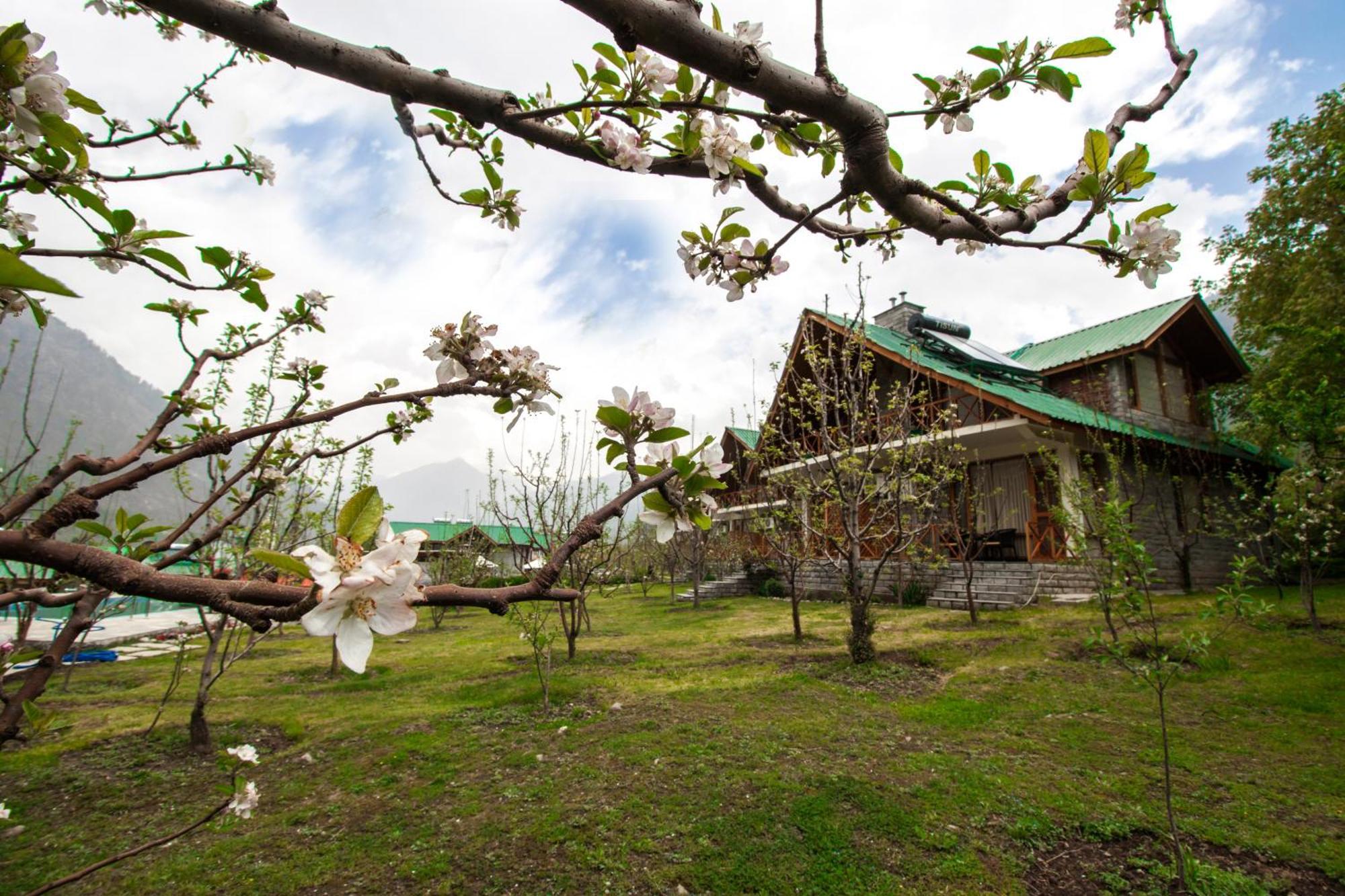 Larisa Resort Manali Экстерьер фото